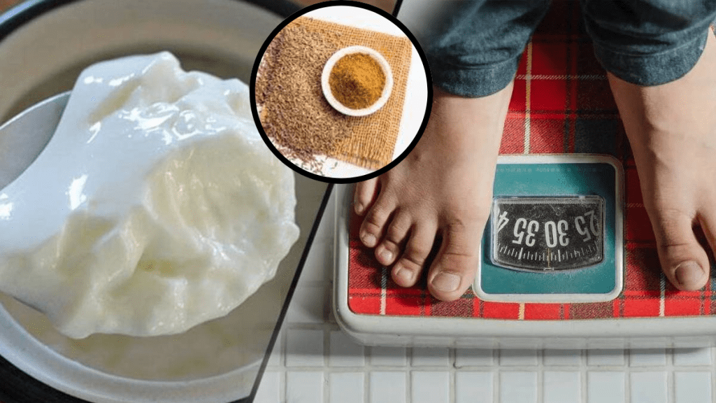 Curd And Jeera Powder Mix Can help You cure diabetes blood pressure Cholesterol When Is The Right Time to Eat Dahi