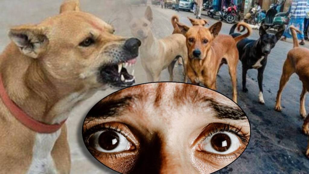 Why Dogs Bark And Run On Body How To Make Dogs Calm and Save Your Life Five Tips to make dog your friend Why Dogs Bark And Run On Body How To Make Dogs Calm and Save Your Life Five Tips to make dog your friend