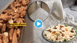 साबुदाणा कसा बनतो माहितेय का? Video पाहून चक्रावून जाल, एक किलोसाठी होणारी प्रक्रिया पाहा