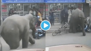 Viral Video Wild Elephant goes mad throws bike like football viral clip will shock you