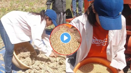 Ashwini Mahangade farm video