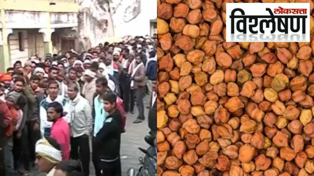 Harbhara Gramme chaos e