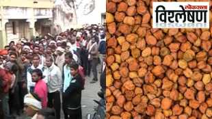 Harbhara Gramme chaos e