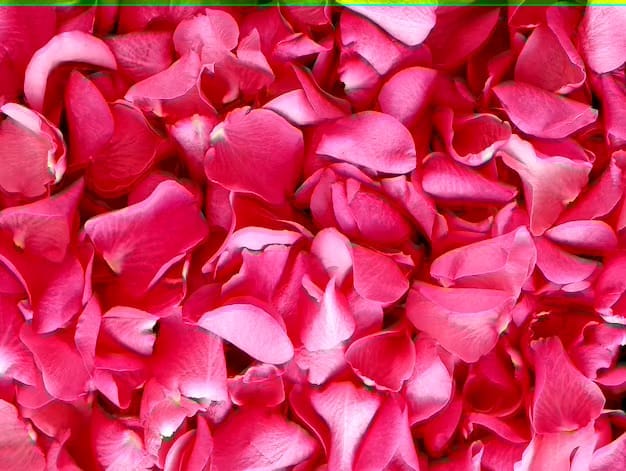 Holi