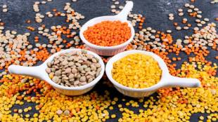 The real reason why Dal lentil is soaked before cooking