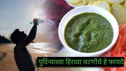 Summer Health News Mint Chutney Benefits Throws Uric Acid Out of body makes skin hydrated know from expert