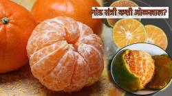 संत्री गोड आहे की आंबट कसे ओळखाल? संत्र्यावर निसर्गाच्या ‘या’ पाच खुणा पाहून सेकंदात करा परीक्षा