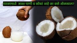 नारळामध्ये जास्त पाणी व खोबरं आहे का कसे ओळखाल? ‘या’ सात सोप्या टिप्स नेहमी लक्षात ठेवा