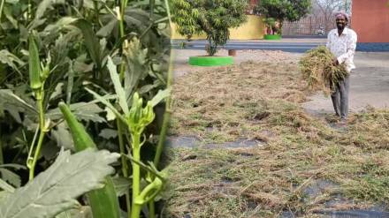 Rain in Kalyan taluka Rain in Kalyan taluka