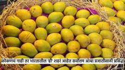 कोकणातचं नाहीतर भारतातील ‘या’ ७ शहरांमध्येही घेतले जाते सर्वोत्तम आंबा प्रजातीचे उत्पादन