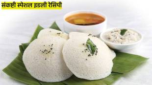 upvas vrat recipe india instant sabudana bhagar idli recipe for fasting