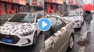 its raining worms in China See this viral video from Beijing