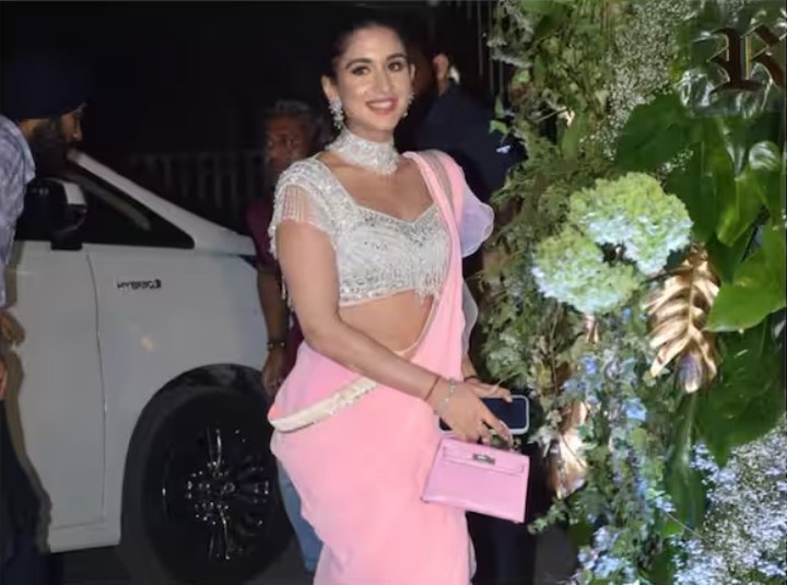 Radhika Merchant Handbag ७