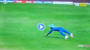 Marnus Labuschagne Catch Viral Video
