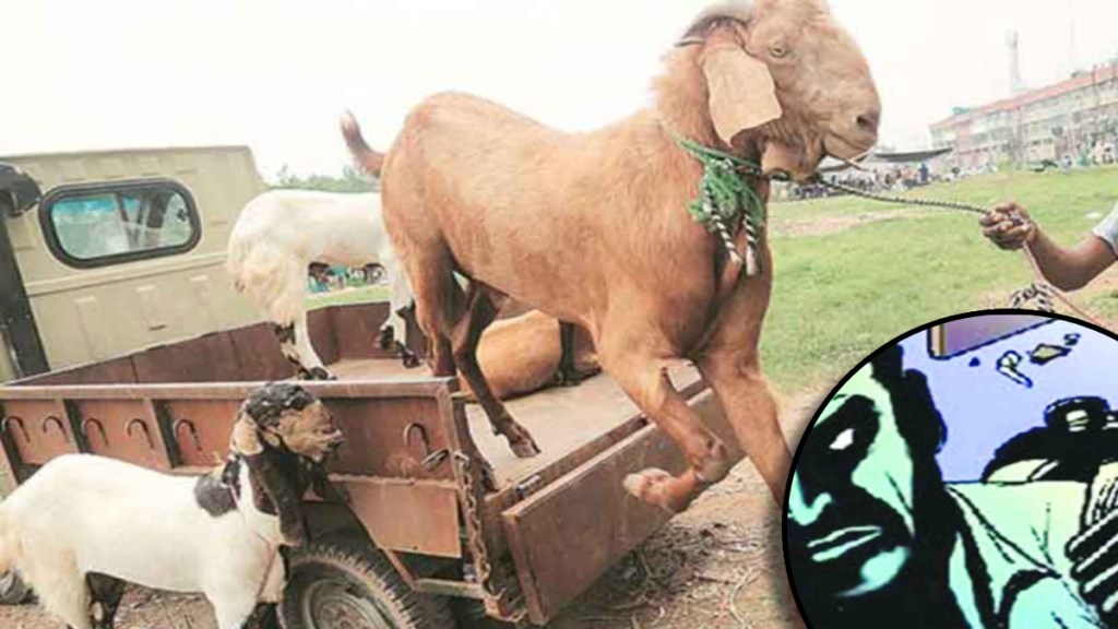 They used to come in expensive cars and steal goats They used to come in expensive cars and steal goats