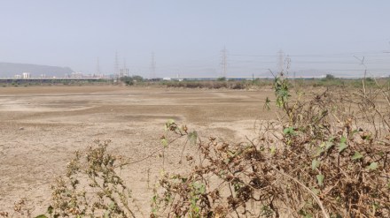Uran, wetlands and mangroves, development projects, flood risk