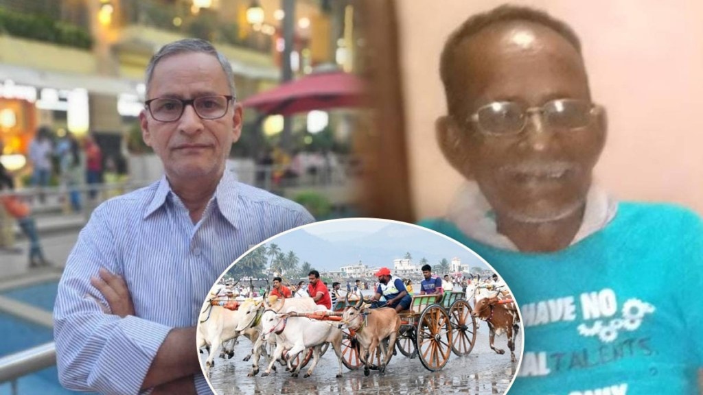 bullock cart race alibaug