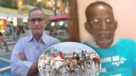 bullock cart race alibaug