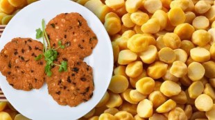 dal vada