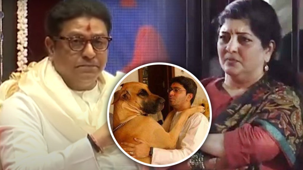 raj thackeray, raj thackeray sian hospital interview raj thackeray, raj thackeray sian hospital interview