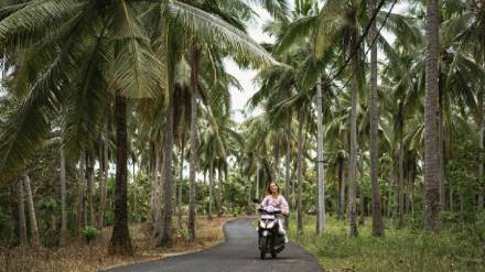 why bali is banning tourists from renting and riding motorbikes why bali is banning tourists from renting and riding motorbikes