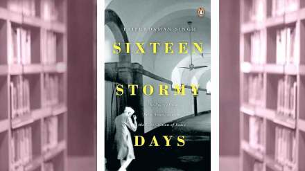 book review sixteen stormy days book review sixteen stormy days