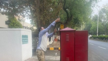 electricity theft electricity theft