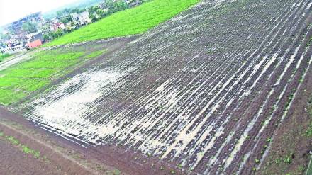 farm ice