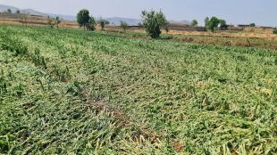 farm lost due to rain