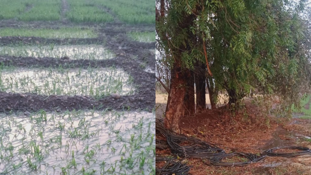 washim farmer