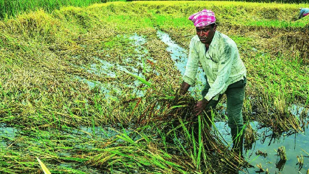 farmer