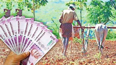 (संग्रहित छायाचित्र) ; फोटो- लोकसत्ता