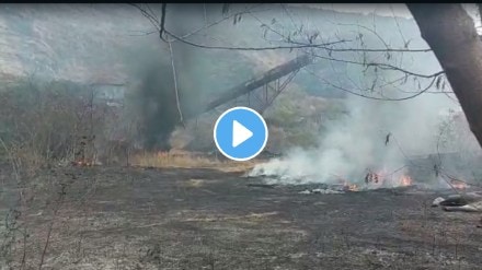 fire in forest