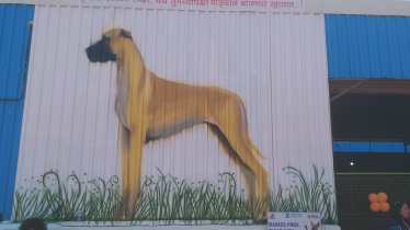 dog painting