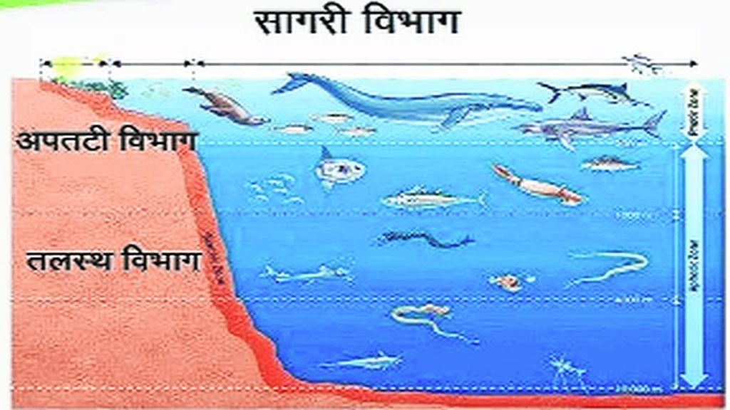 kutuhal sea dep