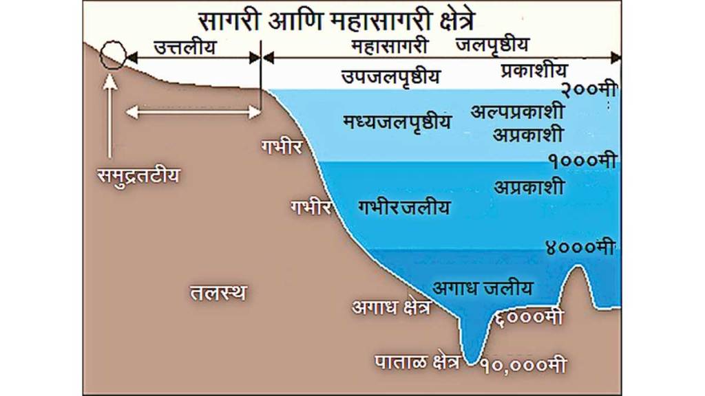 oceanography definition