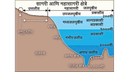 oceanography definition