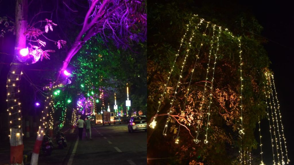 lighting on tree for g 20