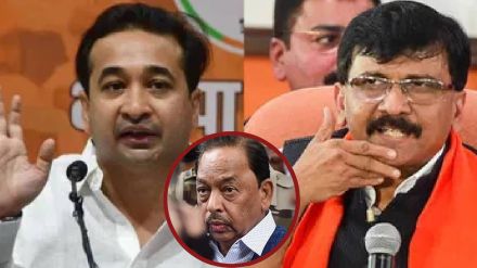 sanjay raut on nitesh rane