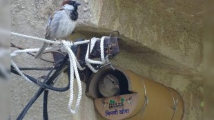 Online Chimney Calculation in Akola