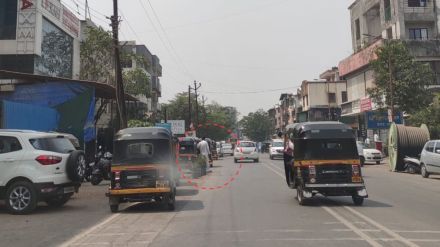 tree planting tree planting