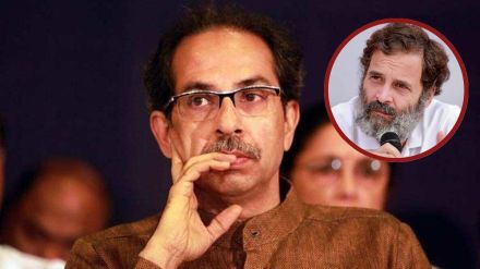 uddhav thackeray and rahul gandhi uddhav thackeray and rahul gandhi