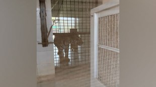 Bhopal Special arrangements to protect animals from heat at Van Vihar