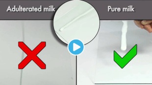 Video How To Identify Adulterated Milk FSSAI Shows Simple Technique To Avoid Diseased Like Malaria Cholera Health Tips