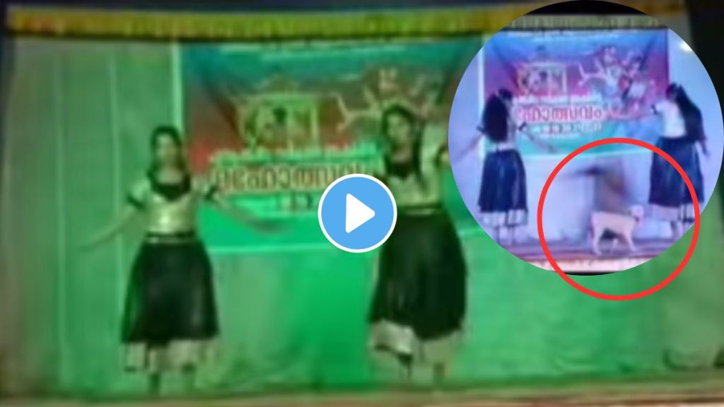 Viral Video of Dog