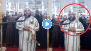 Cat jumped on Imam
