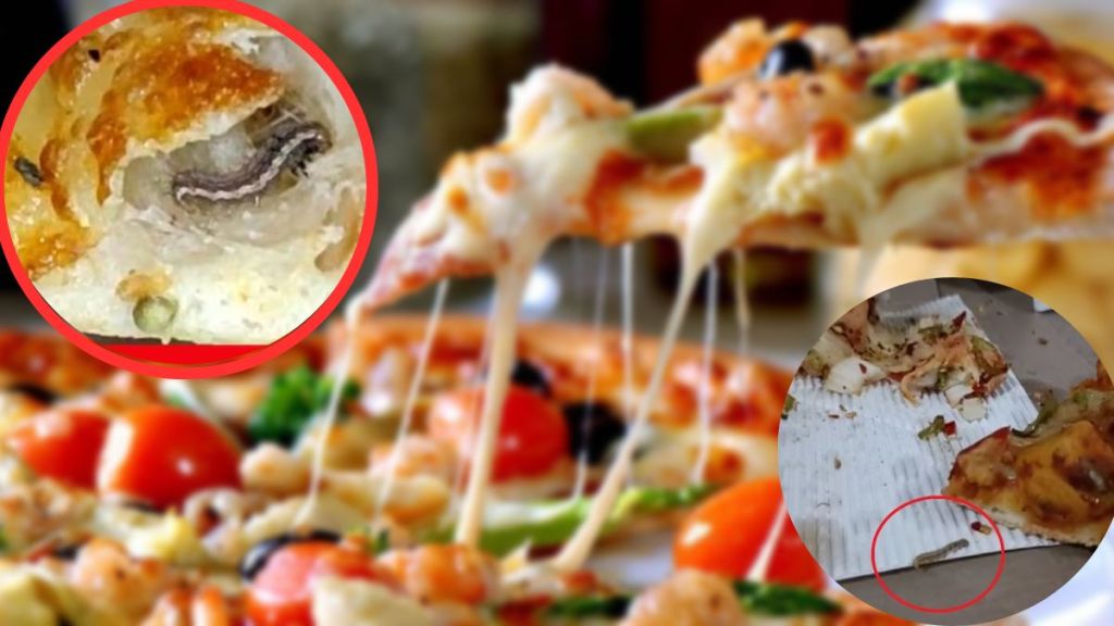 bugs found in dominos pizza