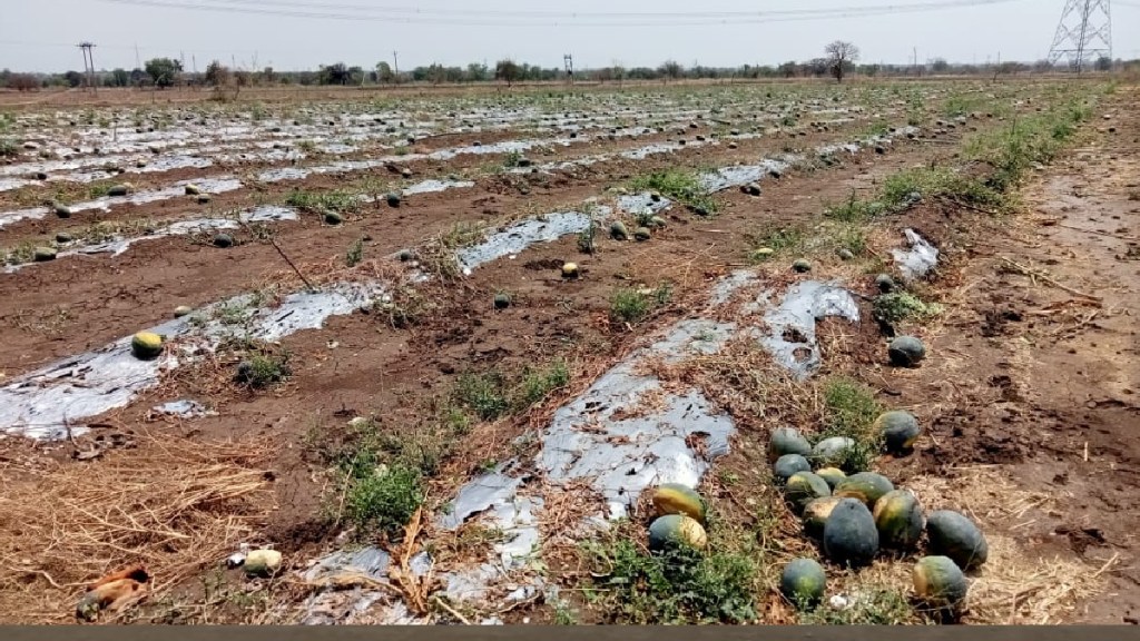 BJP kisan aghadi, unseasonal rain, farmers, nashik BJP kisan aghadi, unseasonal rain, farmers, nashik
