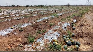 BJP kisan aghadi, unseasonal rain, farmers, nashik