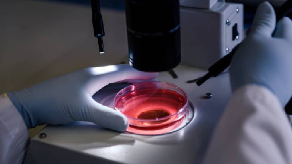 bio skin printer